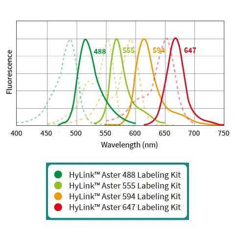 HyLink™ Aster 594 Labeling Kit, 100 μg*10 (SpinDesalt Column)